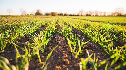 土壤修复及环境质量评价